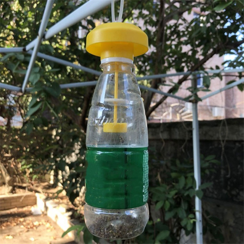 批发果实蝇诱捕器盖头配果蝇引诱剂使用瓜果实蝇信息素针锋诱虫器