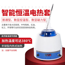 DZTW100ml电热套数显恒温磁力搅拌器调温加热套100ml250ml500ml