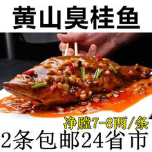 苏州阳澄湖野生大桂鱼!