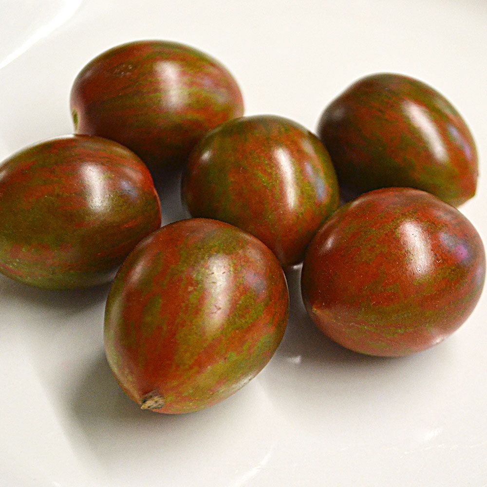 番茄种子 巧克力雨点系列 阳台庭院种植 小柿子