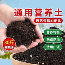 种葱专用土阳台种菜通用型蔬菜种菜种植土营养土盆栽香葱土壤