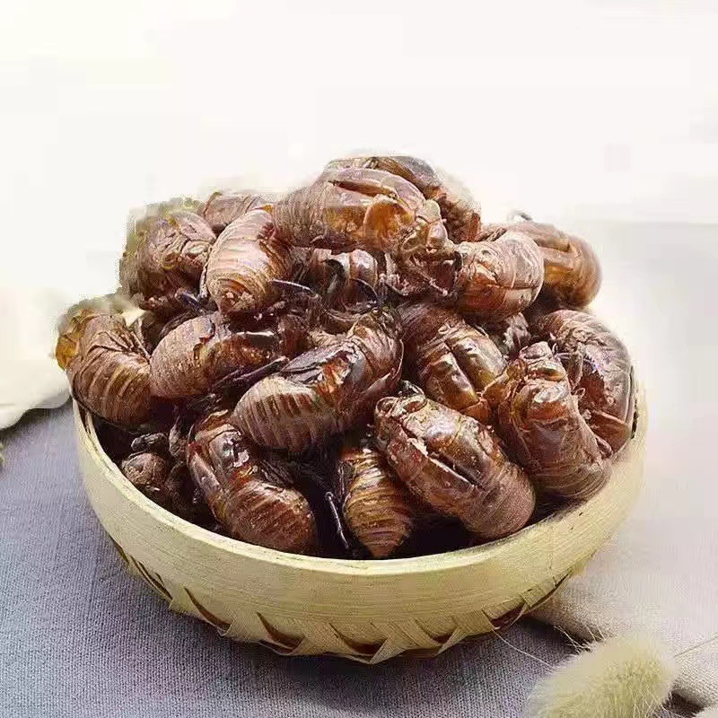 中药材蝉蜕100个包邮蝉衣金蝉知了壳爬了狗虫蜕天然绿色优质原生