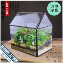 生态瓶苔藓创意微景观桌面盆栽青苔造景缸植物办公室绿植玻璃花房