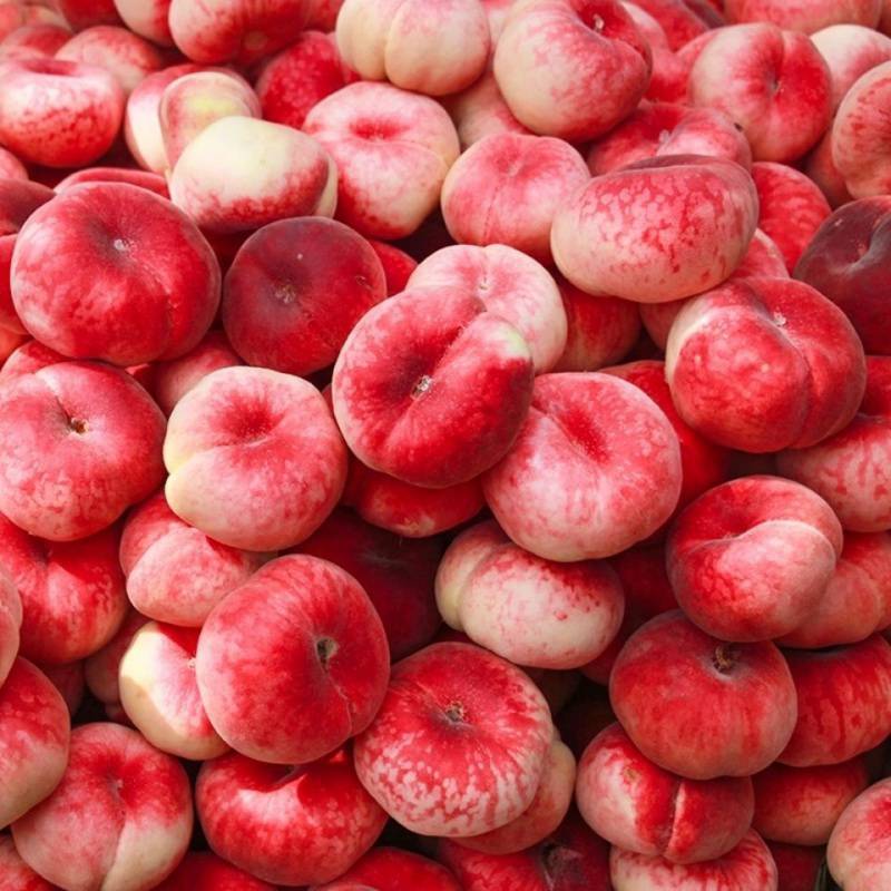 山东红毛蟠桃扁桃新鲜桃子水果脆甜水蜜桃单果120g起