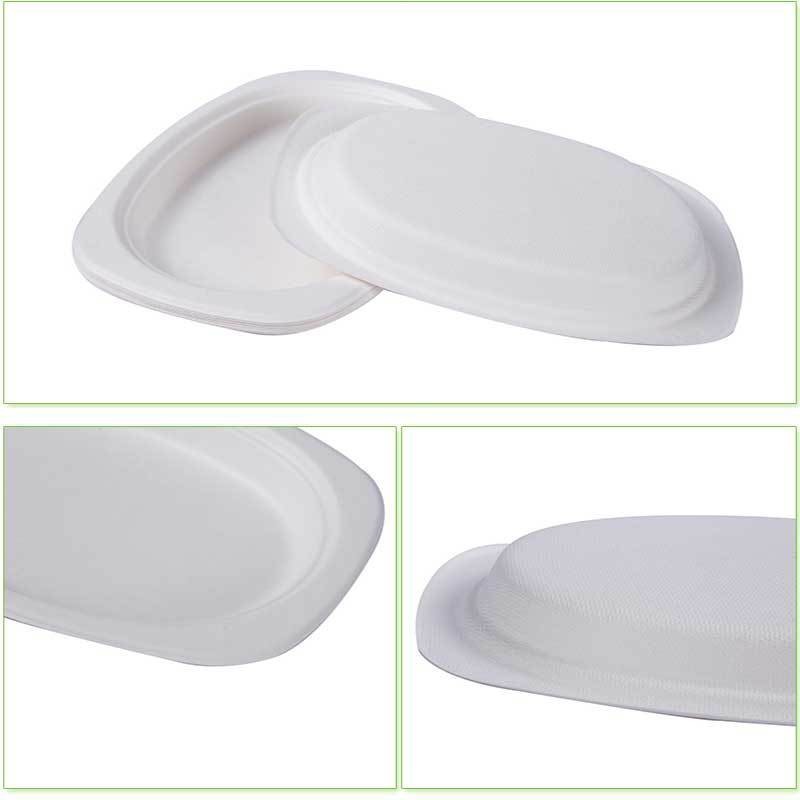 Four Seasons Lvkang Disposable Tableware Degradable Paper Bowl Plate Lunch Box Paper to-Go Box Paper Cup in Stock Wholesale