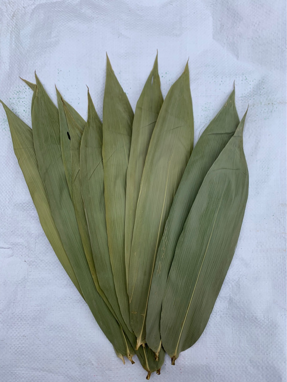 粽叶厂家批发50斤大包装端午节竹叶麻竹叶粑粑叶黄粑叶箬叶廖叶