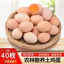 鸡蛋批发40枚土鸡蛋农家散养新鲜柴鸡蛋15枚笨儿童孕妇营养蛋休闲