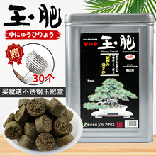 日本原装进口玉肥盆景肥料松柏长效有机缓释肥颗粒花肥分装肥