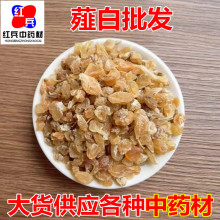 中药材批发薤白散装承接大货薤白干净无杂小根蒜量大价优