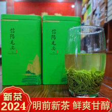 批发茶叶信阳毛尖2024年新茶明前嫩芽高山手工春茶散装绿茶500g