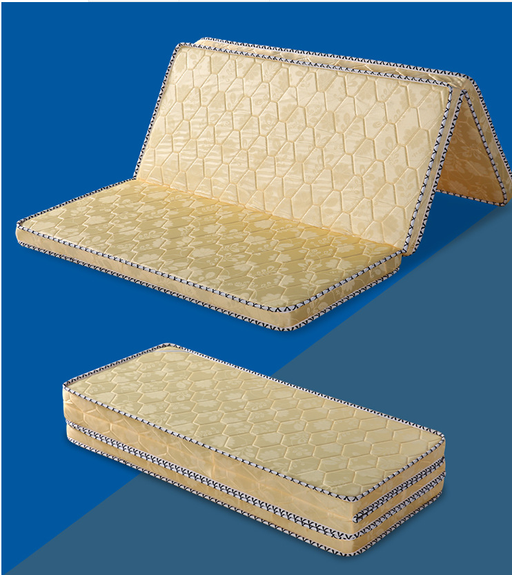 (软硬二用)天然椰棕床垫棕垫1.8米1.5经济棕榈儿童折叠厂家批发