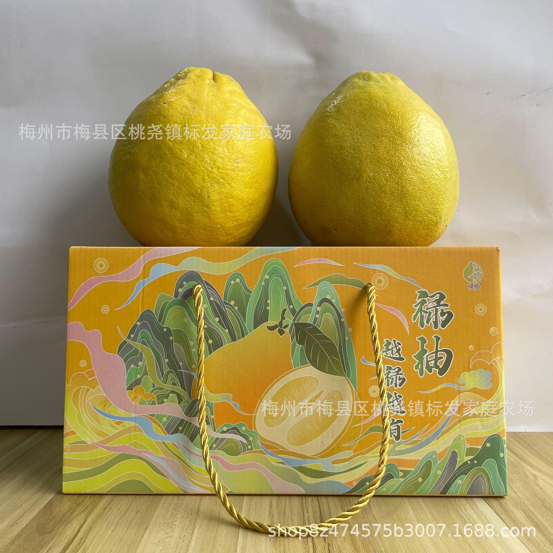 新年送礼佳品礼盒包装大气美观精选皮薄多汁纯甜爽口的正宗沙田柚