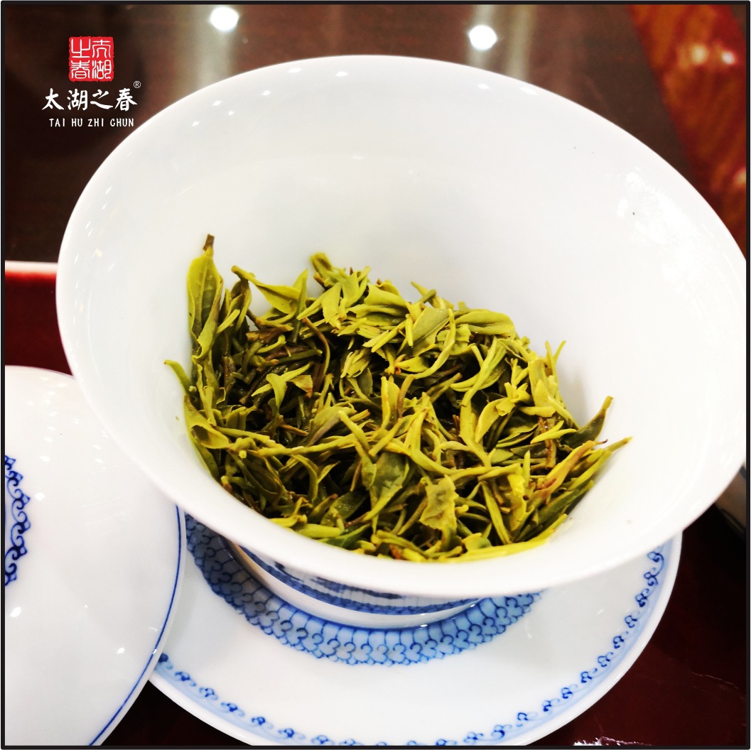 洞庭山碧螺春苏州东山核心产区茶厂直 太湖之春牌特一5克装-阿里巴巴