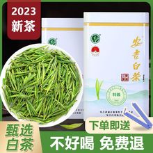 2023新茶正宗安吉珍稀白茶高山特级明前绿茶散装茶叶口粮茶礼盒装