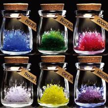 礼物儿童科学实验玩具自种水晶水晶种植许愿晶灵魔法刺猬