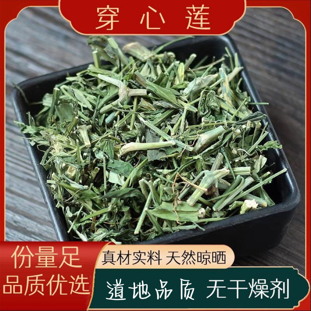 穿心莲中药材野生穿心莲茶穿心连一见喜榄核莲苦胆草金香草中草药