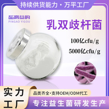 乳双歧杆菌 发酵用菌100亿cfu/g 益生菌菌粉 双歧杆菌 益生菌原料