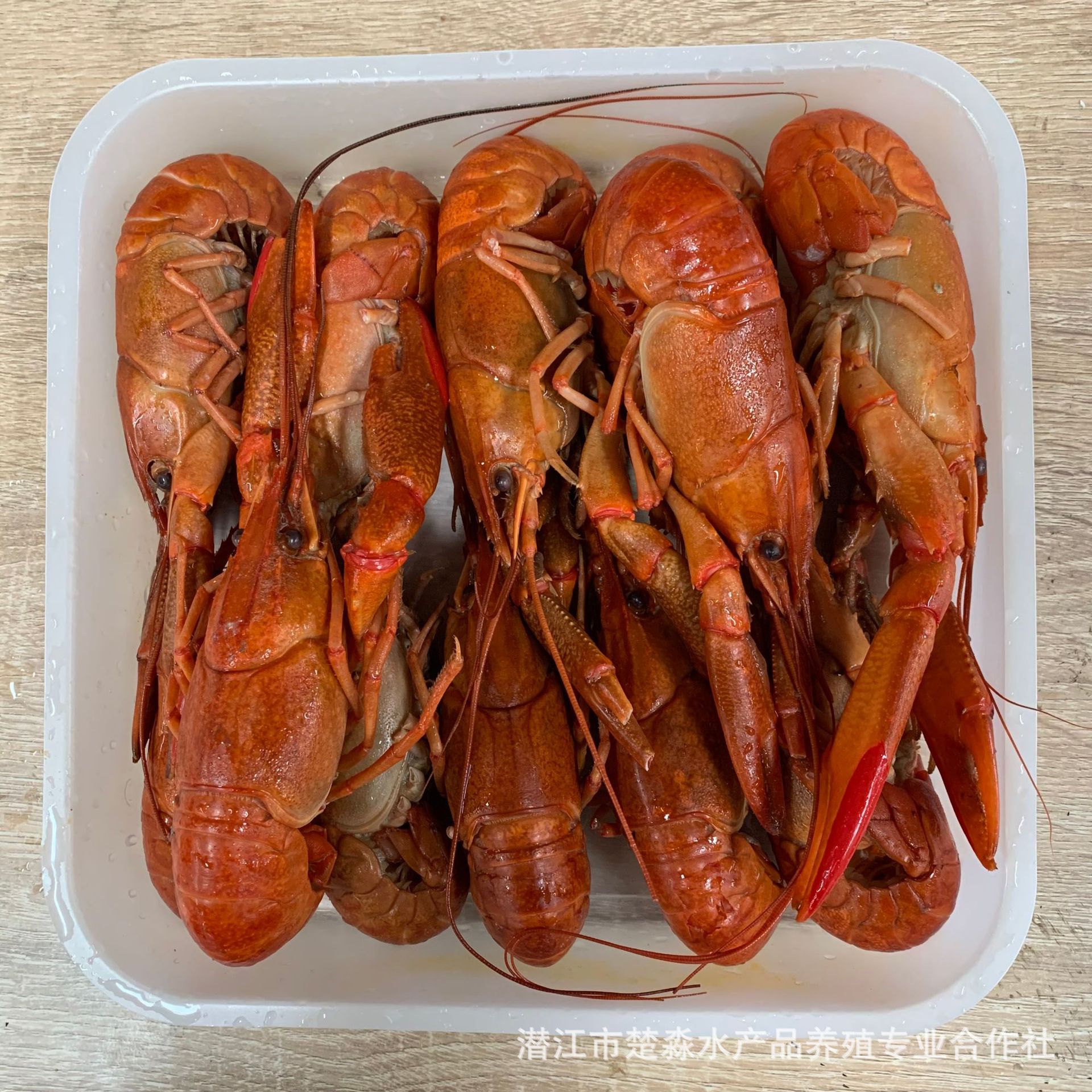 液氮速冻清水澳龙淡水小龙虾蓝龙虾红螯螯虾鲜活冰冻冷冻原味冻品