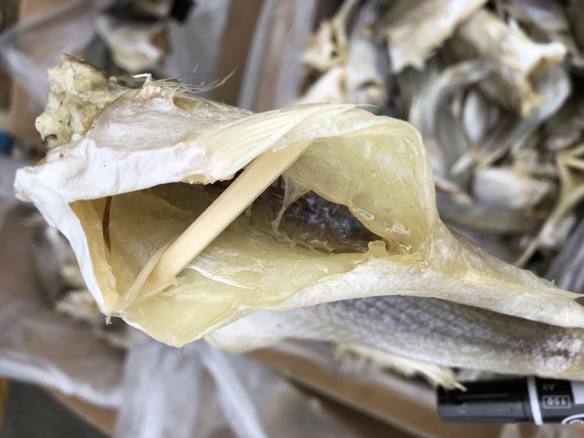 跑江湖地摊展会鲈鱼干海鲜干货海鲈鱼咸鱼干散装咸鱼干厂家批发