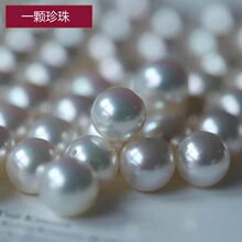 新粉送蚌 直播开蚌淡水珍珠巨型源产地河蚌现场开海水裸珠定制diy