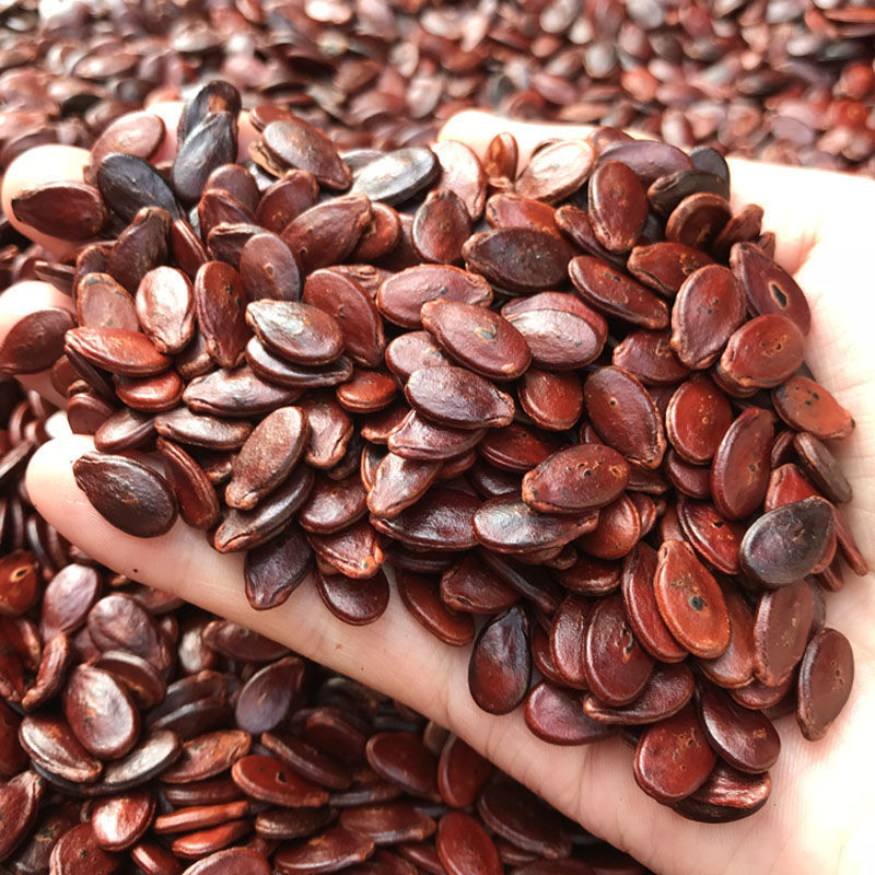 红瓜子江西赣州信丰原味炒熟水煮盐味红皮打婚庆喜宴招待跨境电商