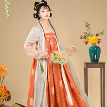 陵安唐制汉服女成人复古中国风齐胸破裙日常夏季一件代发柯子裙