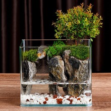 yut山水鱼缸生态鱼缸水陆缸成品桌面微景观家用套餐热带雨林水循