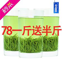 毛尖绿茶浓香耐泡新茶雨前信阳手工茶叶500