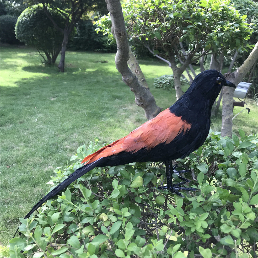 新款仿真红毛鸡模型羽毛假鸡媒体教学魅惑陈列道具红毛鸡装饰摆件