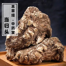 云南石头当归500g高原当归头整个生晒新货高含量正宗药用级无添加