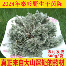 年新货茵陈绵茵陈三月茵陈草 白篙茵陈茶500克干茵陈包邮