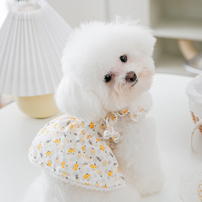 Spring and Summer Puppy Dog Fresh Cutout Floral Dress Small and Medium-Sized Dogs Cat Two-Leg Skirt Pet Dog Clothes
