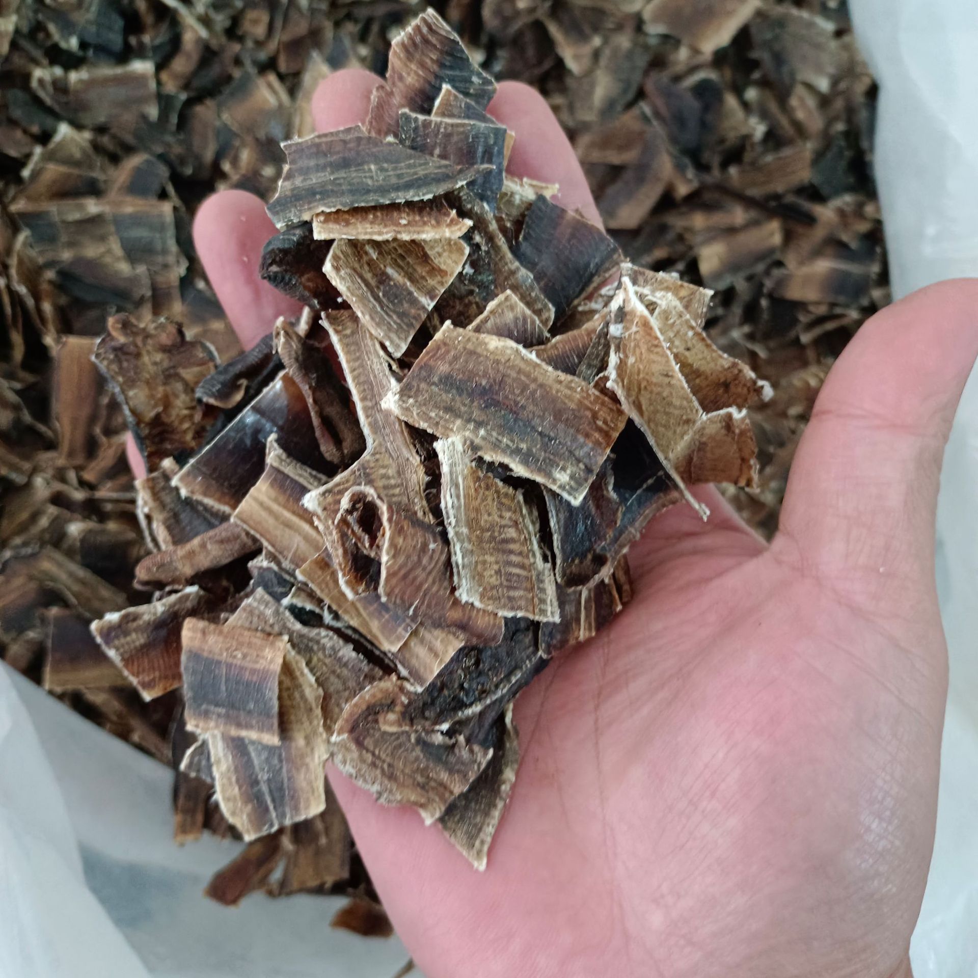 地龙全开地龙 蚯蚓干中草药寻千草批发直销【文杰中药材】