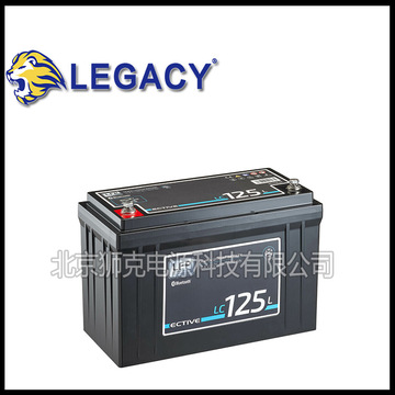 德国ective蓄电池dc65sgel,dc135sgel直流屏照明铅酸12v135ah