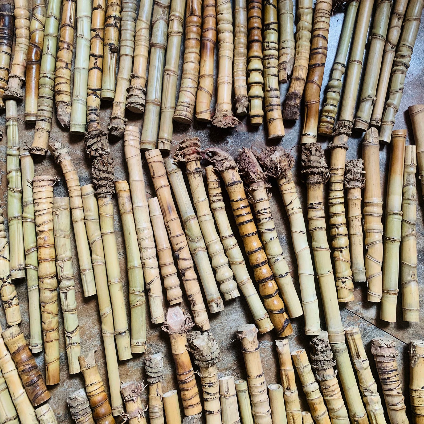 罗汉竹龟甲竹钓鱼竿扇骨手把件工艺品材料毛笔杆养壶笔130根打包