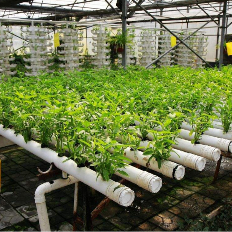 大棚用无土栽培设备 水培蔬菜循环水耕机 立体草莓蔬菜种植架批发