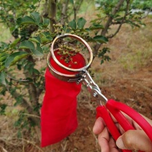 新款花椒采摘神器网红人工手握花椒枸杞枇杷颗粒超细环形摘果神器