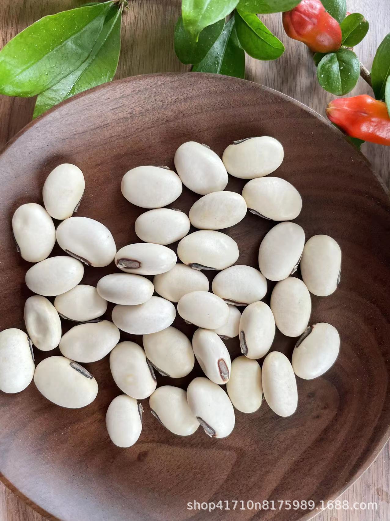 产地直供白刀豆,挟剑豆,刀豆子,大刀豆,刀鞘豆,大戈豆