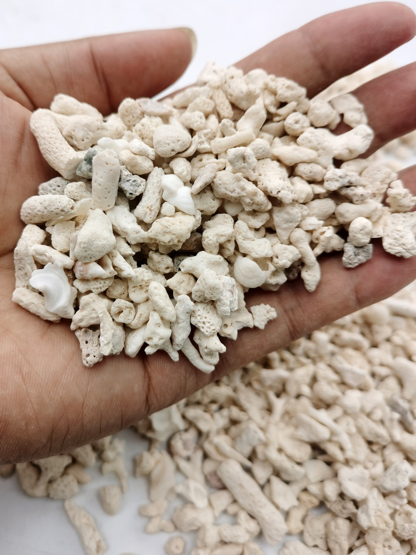 天然鱼缸底砂贝壳砂三湖砂海沙菲律宾沙鱼缸造景装饰慈鲷寄居蟹沙