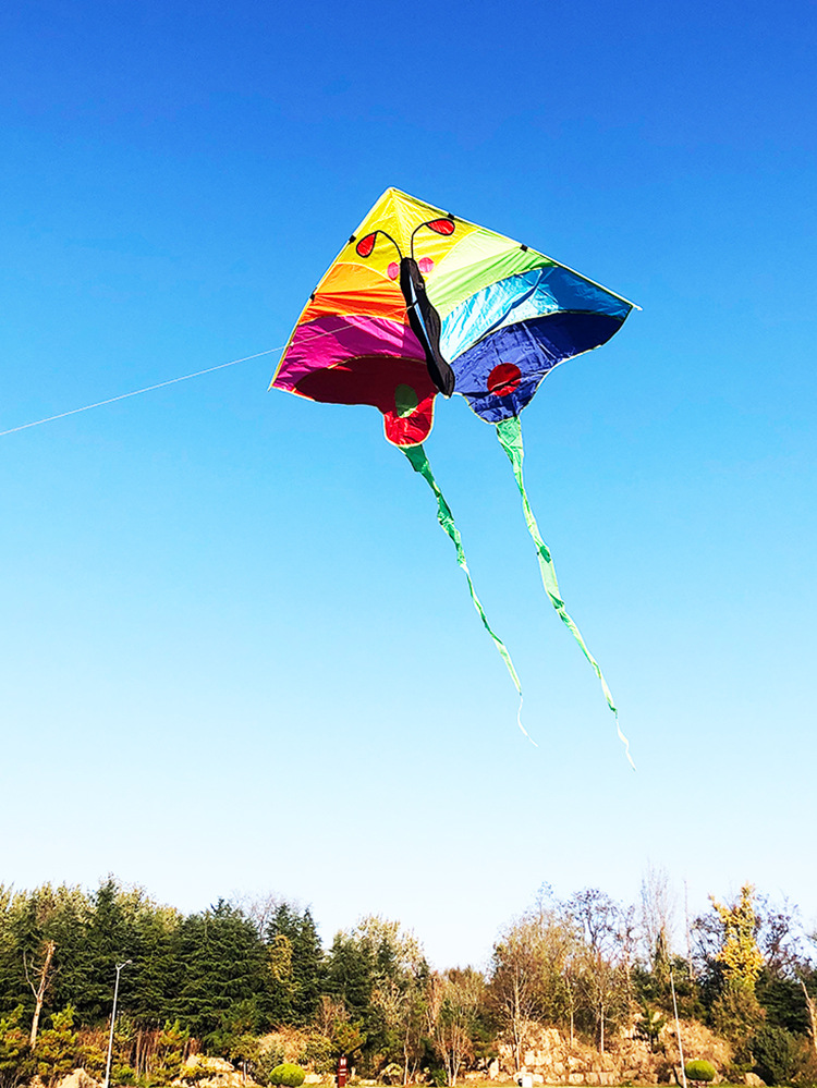 现代简约是否跨境出口专供货源否尺寸新款2米七彩蝴蝶风筝(不带线)