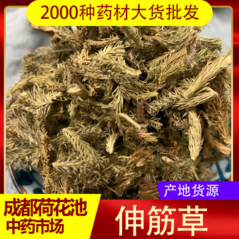 四川伸筋草材500克g正品包邮伸筋草透骨草材新货-阿里巴巴