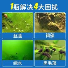 鱼塘青苔不伤鱼虾蟹速杀青苔去除剂绿水池青苔剂