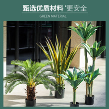 仿真绿植荷兰铁树盆栽龙舌兰植物北欧客厅室内酒店摆件落地盆景