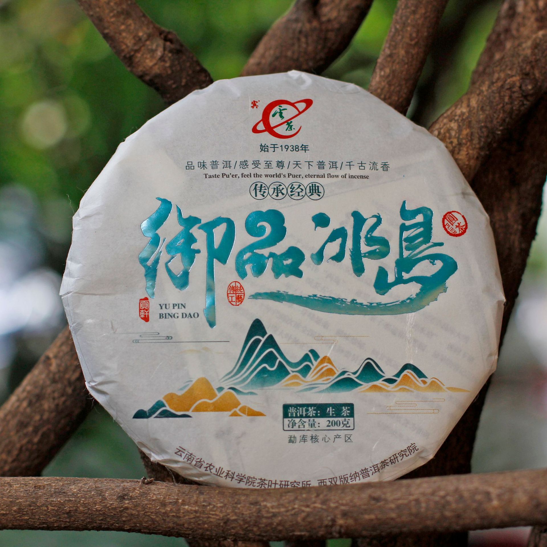 御品冰岛云茶云南普洱茶科所精选冰岛核心大叶种古树压制厂家代理