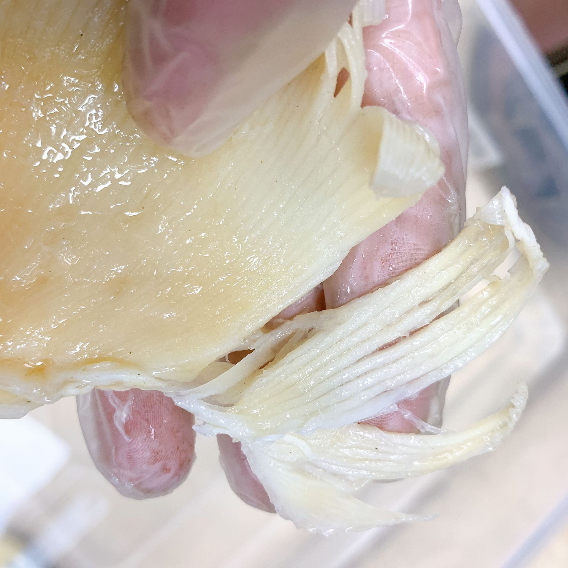 产地批发 北海鱼赤 海狗翅浦鱼翅片 佛跳墙酒店餐饮食材海味干货