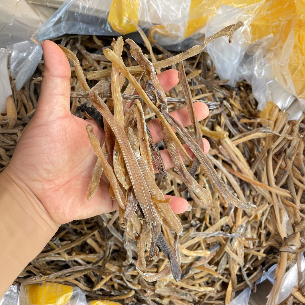 便宜沙虫北海海产品批发沙虫干 公沙虫 淡干 无沙 一斤单价跑江湖