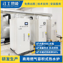 99Kw商用燃气容积式热水器低氮冷凝式天然气热水炉锅炉BTR-338