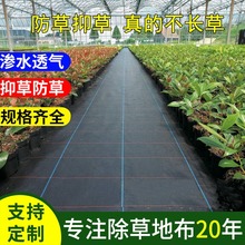 防草布除草布农用果园地布地膜厂家直销新型生态遮草布批发盖草布