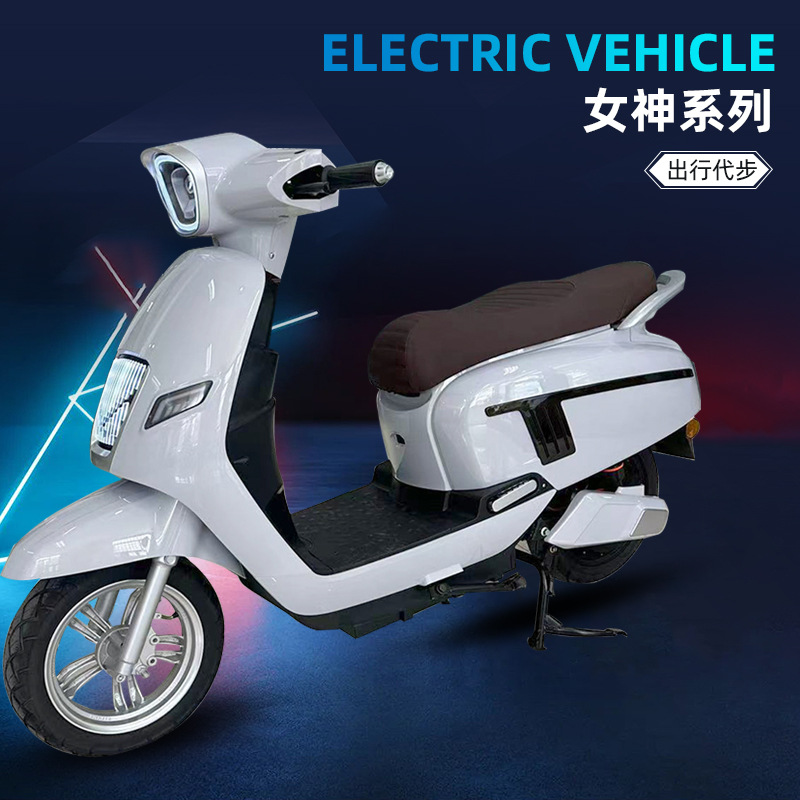 女神跨境进出口电动车电瓶车电动自行车外卖长途双人助力车代步车