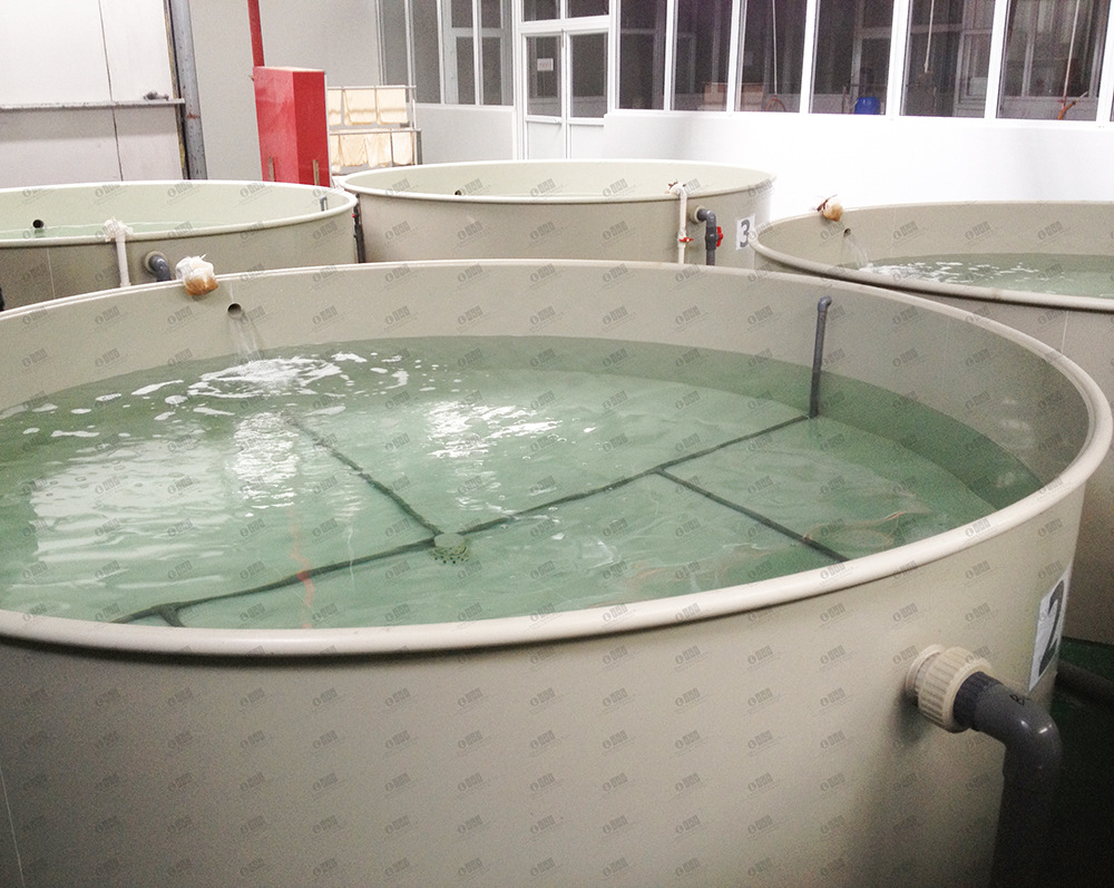 工厂化室内循环水水产养殖小型pp塑料海淡水可定制养殖鱼池